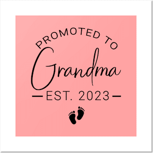 Promoted to Grandma est 2023 Posters and Art